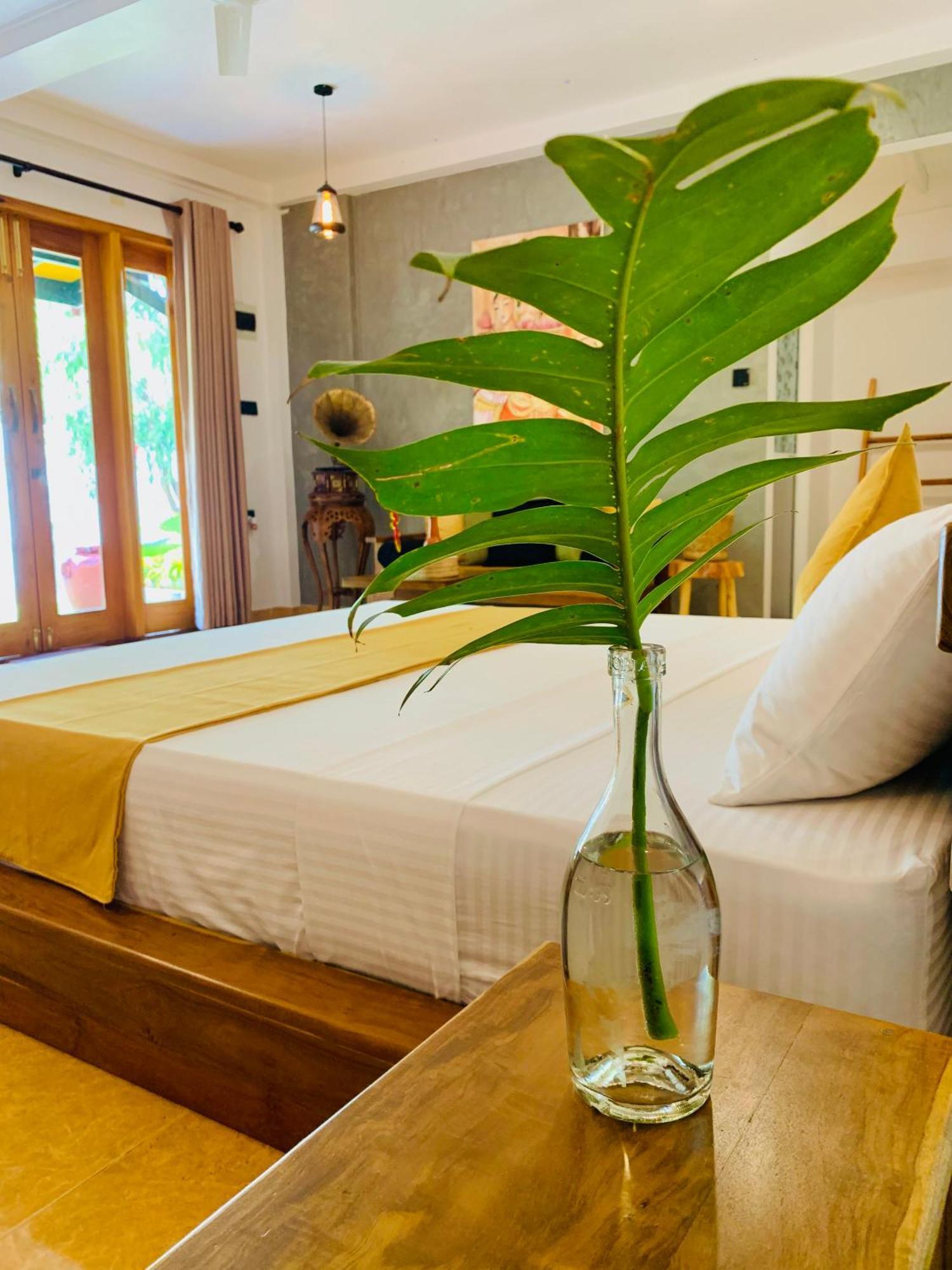 Breeze Bay Villa Діквелла Екстер'єр фото